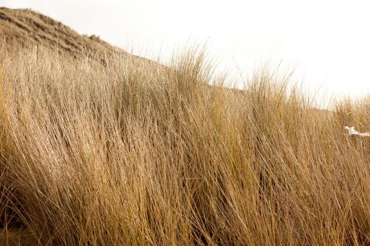 Hof Aan Zee Βίλα Dishoek Εξωτερικό φωτογραφία