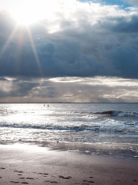 Hof Aan Zee Βίλα Dishoek Εξωτερικό φωτογραφία